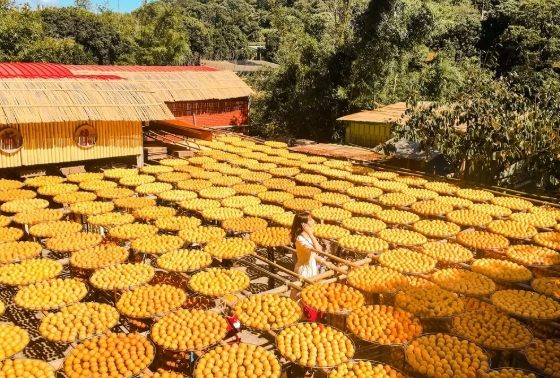 新竹農場一日遊
