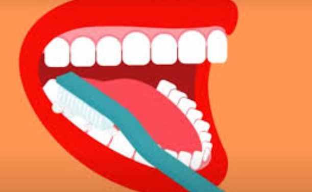 牙齦護理 牙齦護理