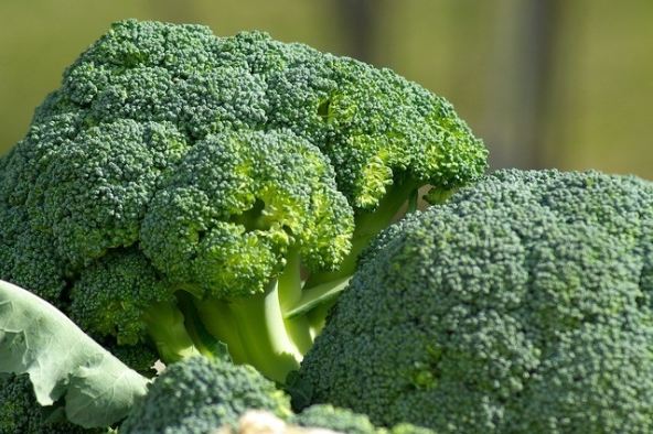 青花椰菜好處
