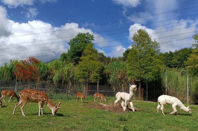 台北休閒農場 台北休閒農場