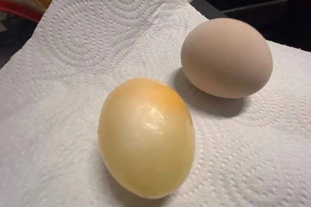 冷凍雞蛋保存
