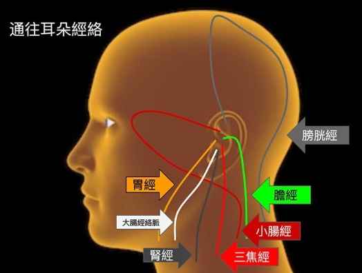 頭部經絡阻塞症狀