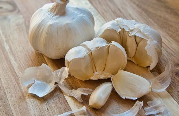 蒜頭長期儲存技巧 蒜頭長期儲存技巧