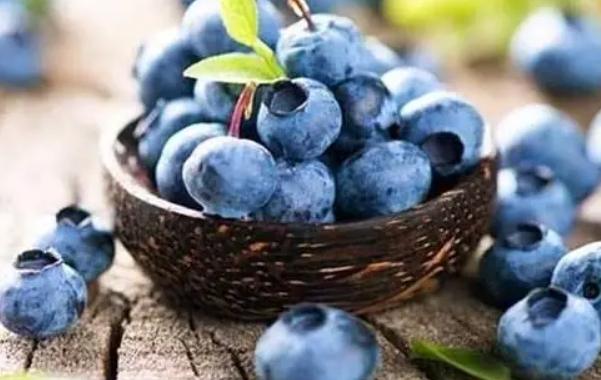藍莓 保存方法
