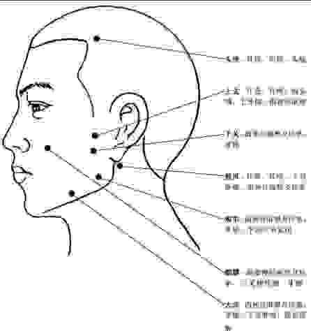 頭部穴道按摩