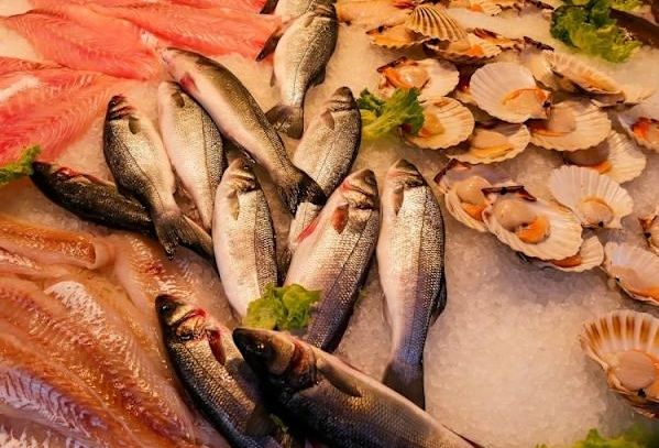 鱼类保鲜技巧