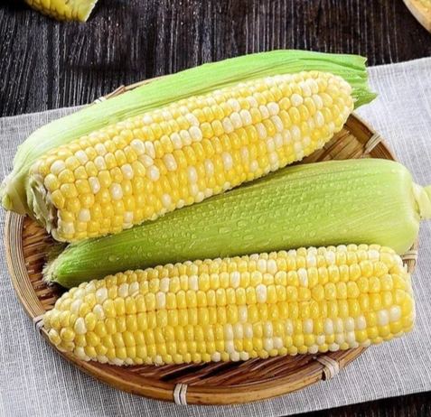 玉米筍冷凍方法