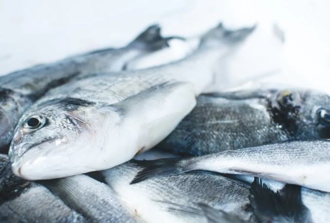 魚冷凍保存時間