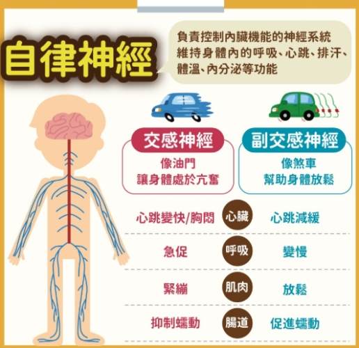 自律神經失調症狀