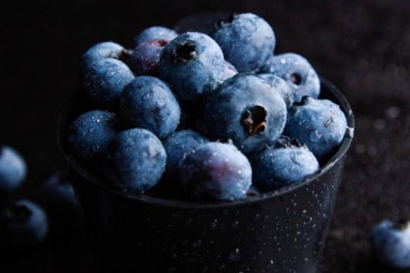 藍莓 常溫 保存