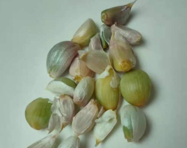 蒜頭保存技巧 蒜頭保存技巧