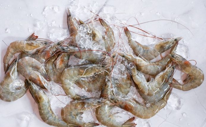 冷凍蝦保存時間
