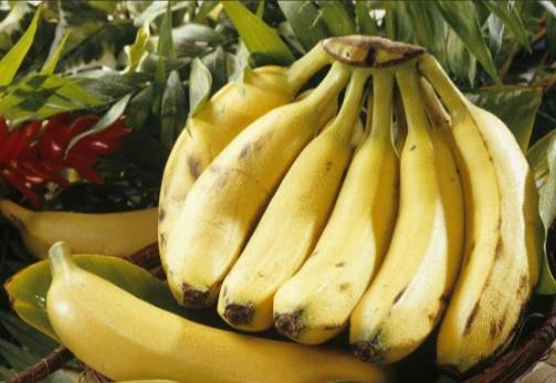香蕉食用安全