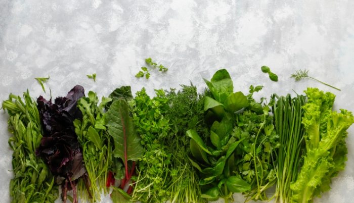 叶菜类保存方法