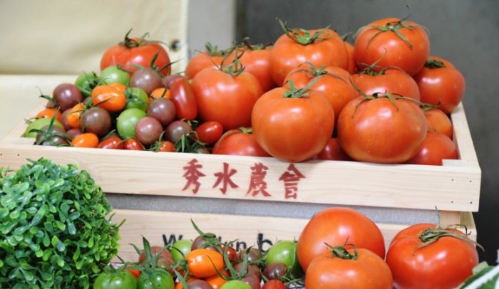 番茄結果技巧