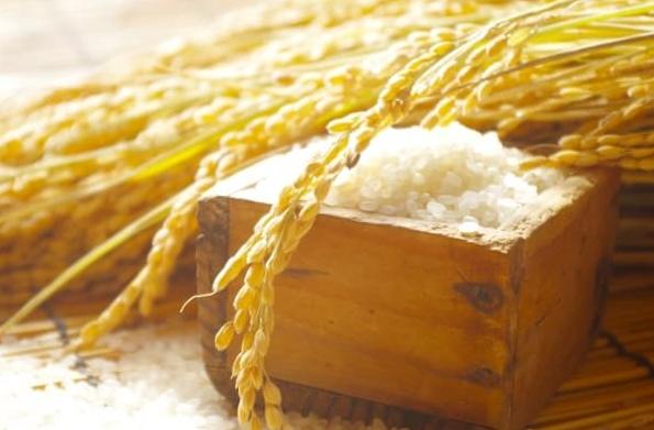 生米變質處理 生米變質處理