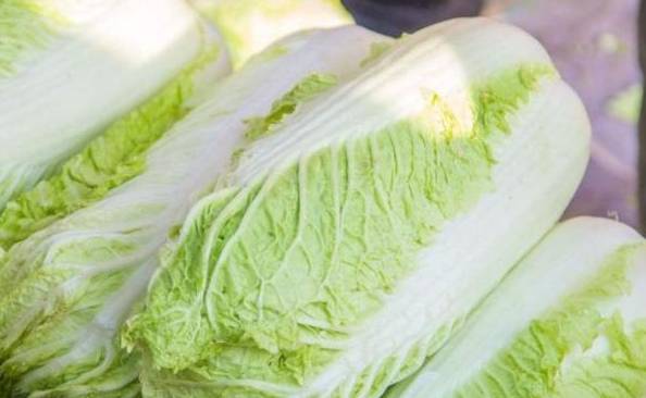 大白菜保存方法
