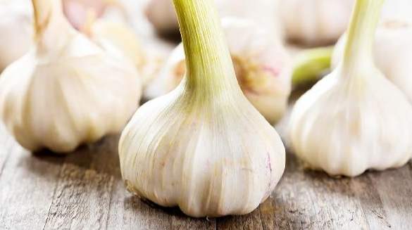 快速去除蒜味