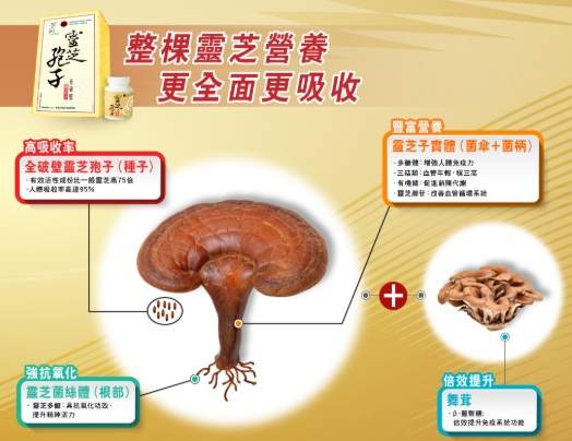 靈芝解酒副作用
