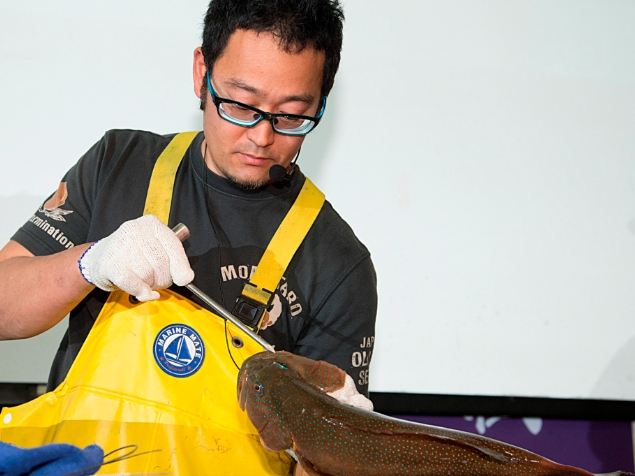 魚類處理技巧 魚類處理技巧