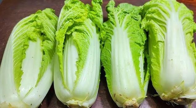 大白菜保鲜技巧
