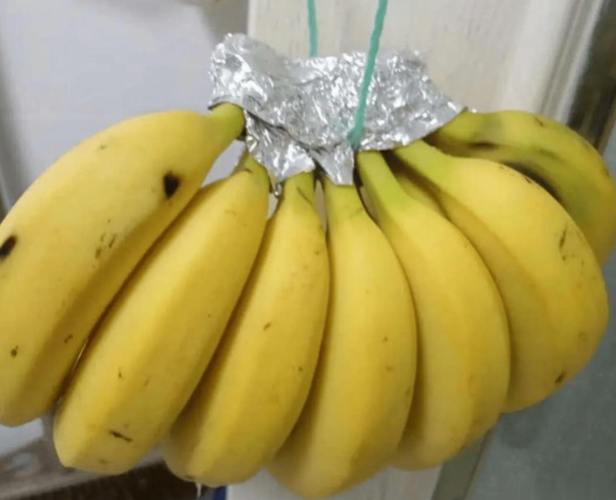 香蕉冷藏危害 香蕉冷藏危害