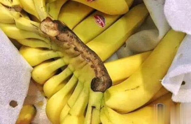 香蕉保存方法 香蕉保存方法