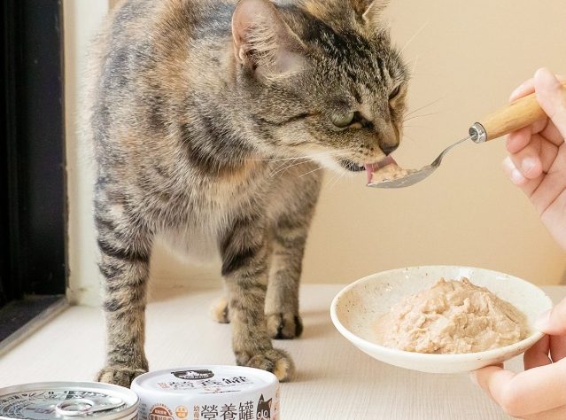 貓罐頭保存