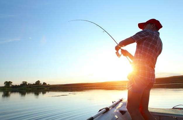 魚類處理技巧 魚類處理技巧