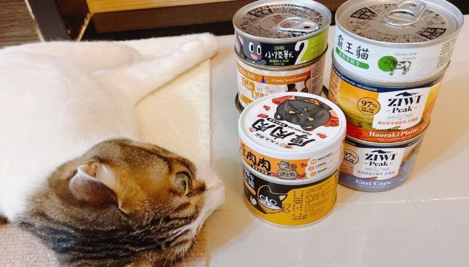 貓罐頭再利用