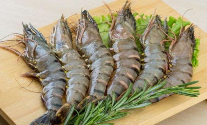 生蝦子冷藏保存