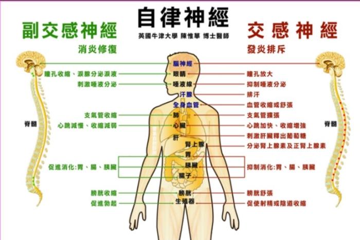 自律神經失調症狀