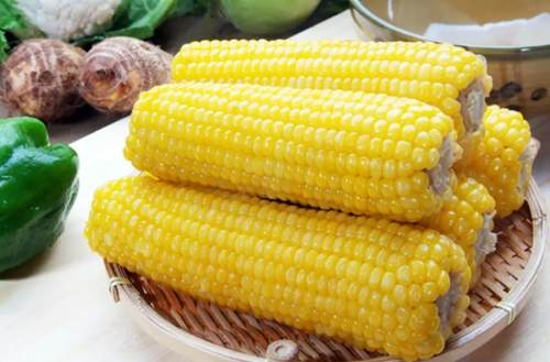 玉米筍冷凍方法