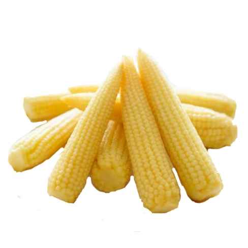 冷凍玉米筍保存