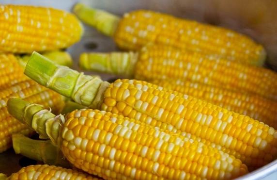 玉米冷凍保存