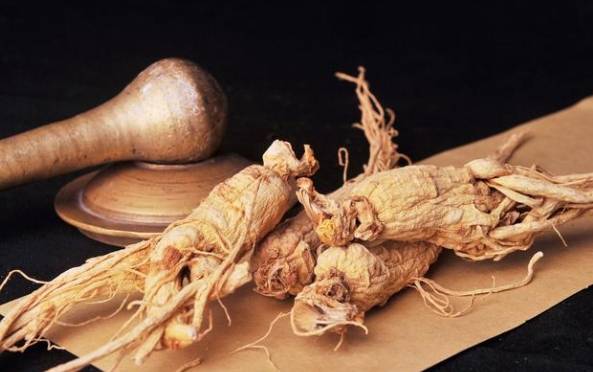 鮮人參食用注意事項