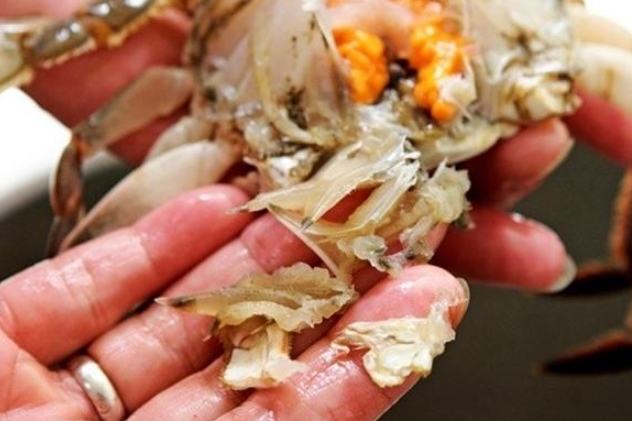 活螃蟹處理方法