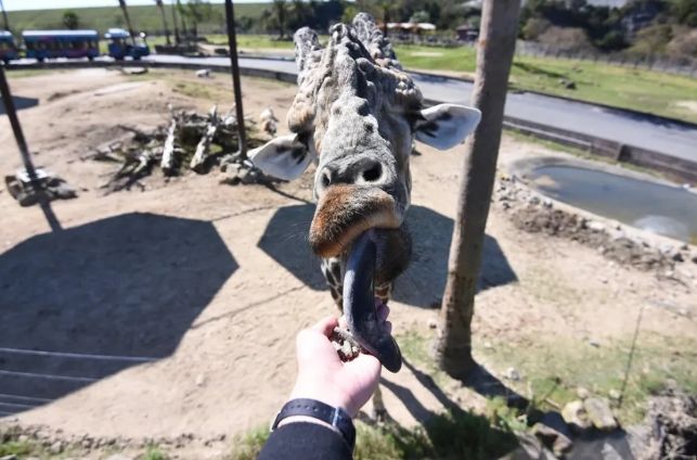 白濱冒險世界門票