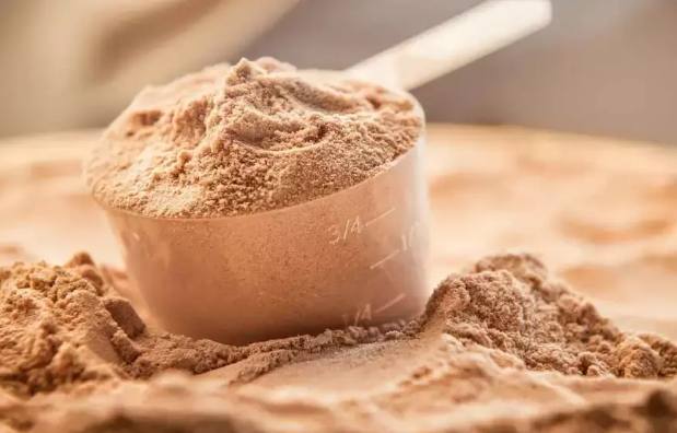 植物蛋白粉壞處