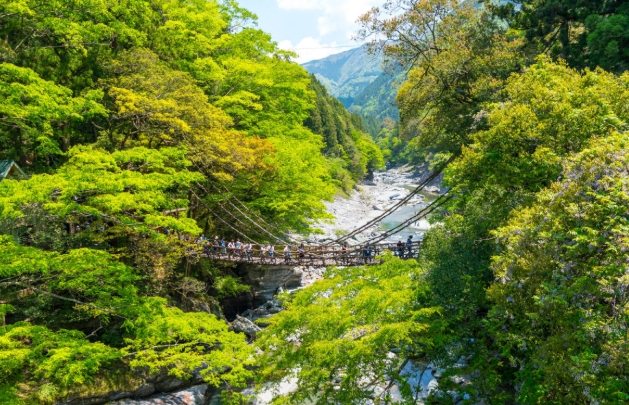 大步危交通方式 大步危交通方式