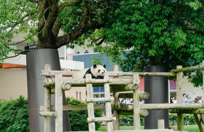 白濱冒險世界交通