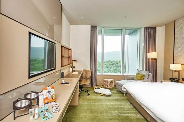 帶寵物旅遊台北