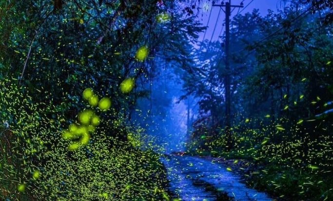 那瑪夏旅遊攻略