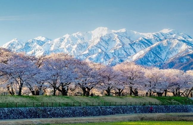 富山縣自由行 富山縣自由行
