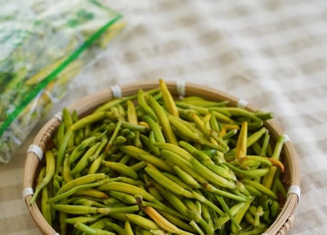 金針花冷凍技巧