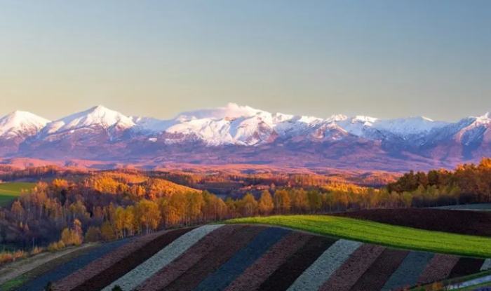 秋天北海道旅遊