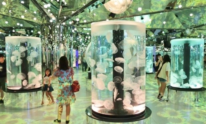 桃园机场周边旅游