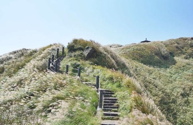 想窩11周邊旅遊