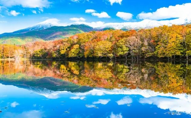 秋天北海道旅遊