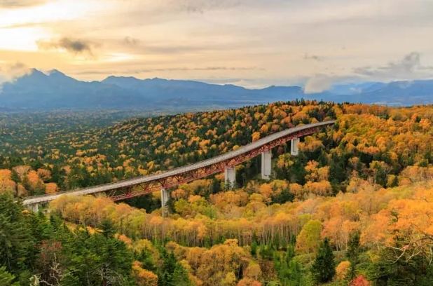 北海道秋季自駕